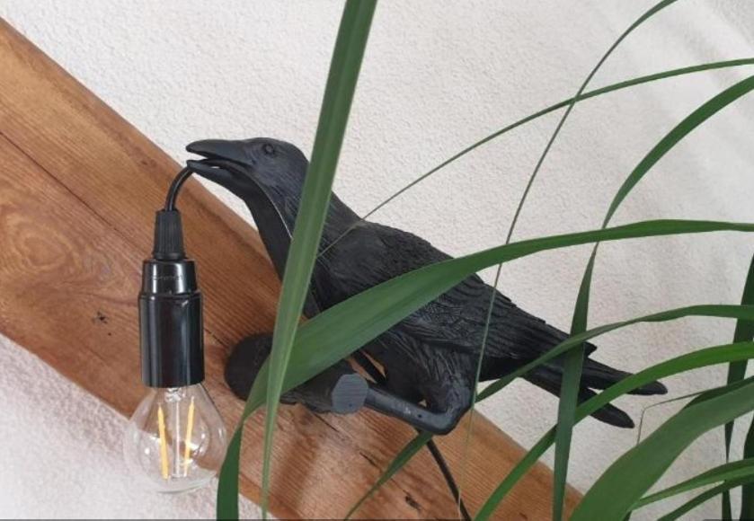 Seensucht & Urlaubstraeume, Ferienwohnung "Strand-Gefluester" Senftenberg Extérieur photo
